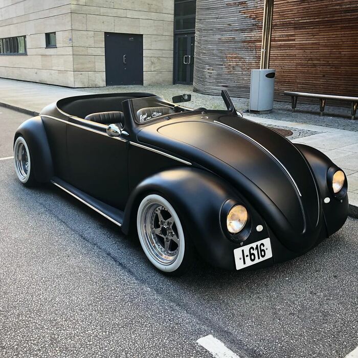 black beetle