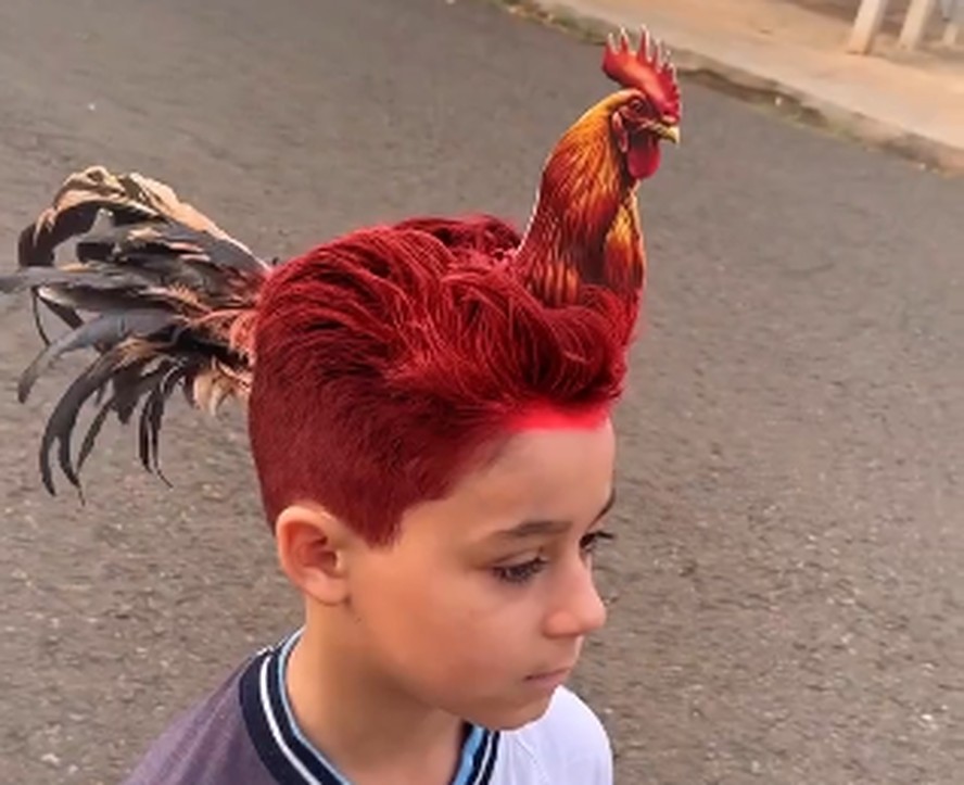 erros comuns ao fazer corte de cabelo de cria