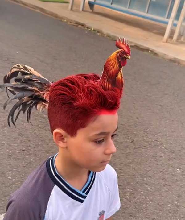 corte degradê vs taper fade para meninos