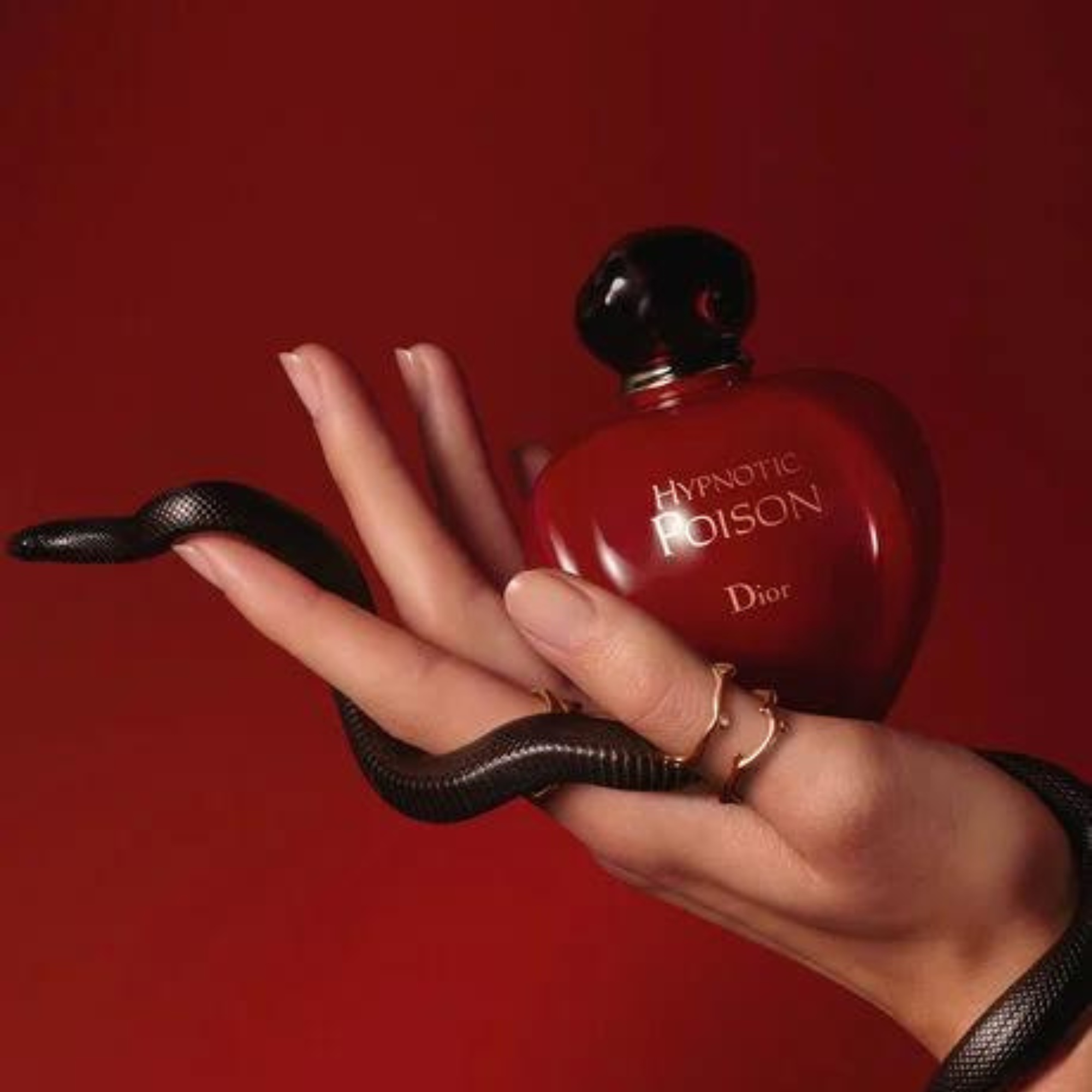 bolsa dior vermelha vs bolsa chanel vermelha