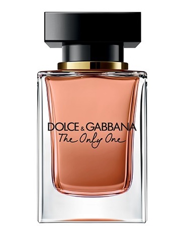 dolce e gabbana the only one