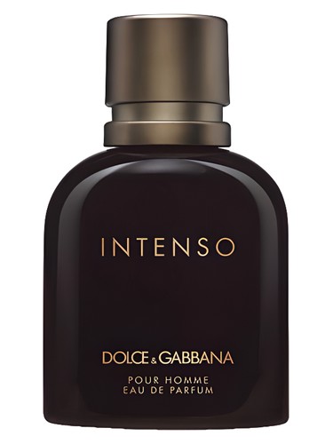 dolce gabbana intenso masculino