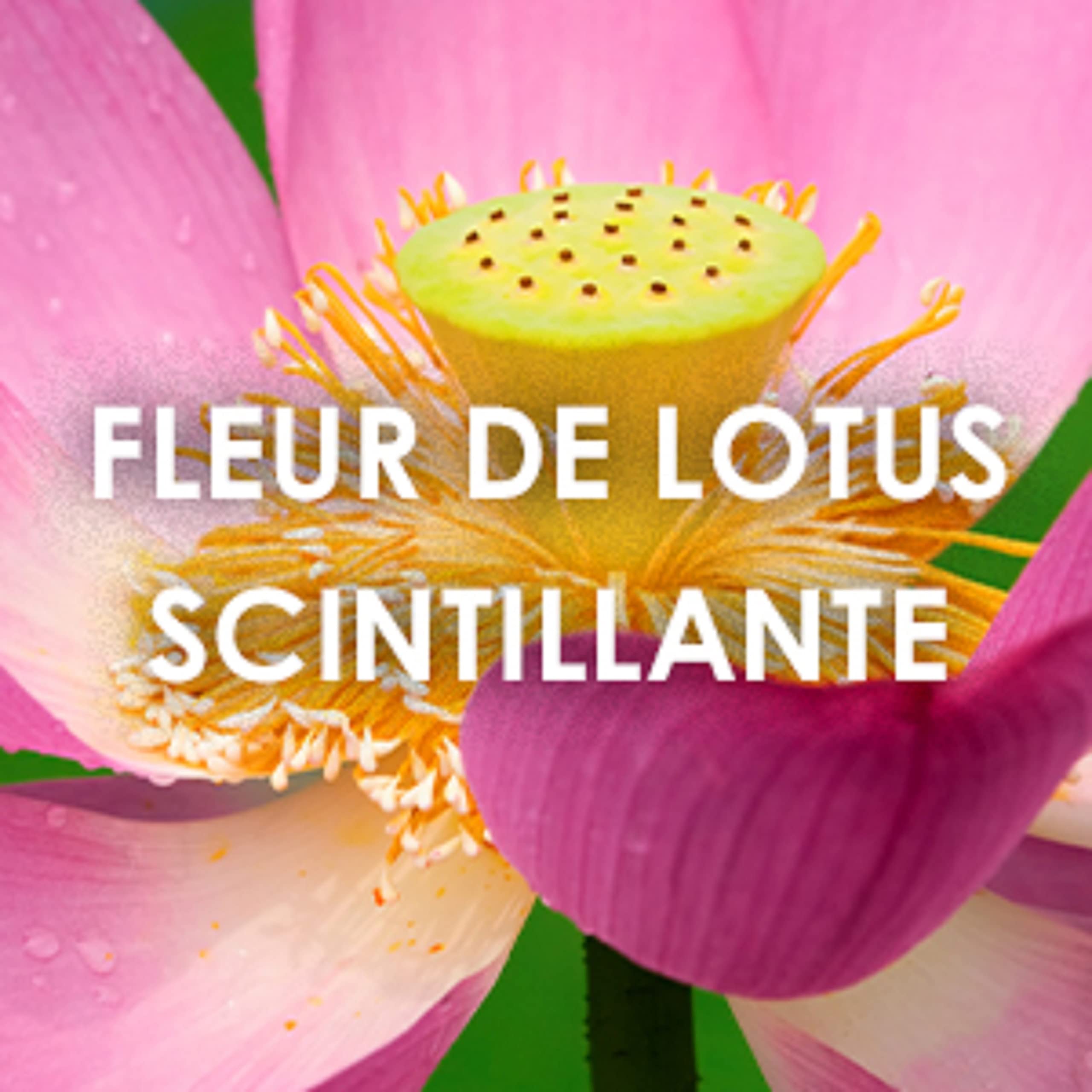 erros comuns ao usar glitter em maquiagem artística