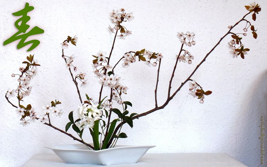 10 flores orientais para jardim significado