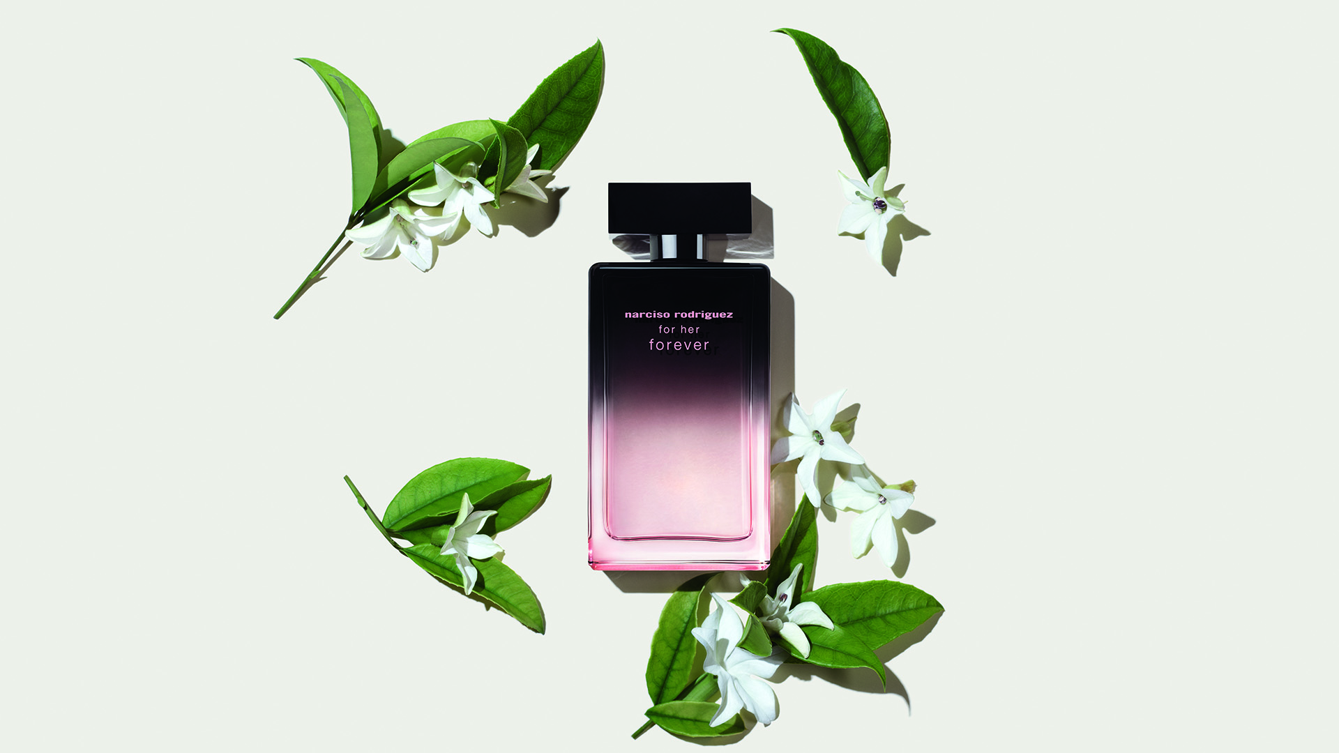 erros ao comprar narciso rodriguez for her forever