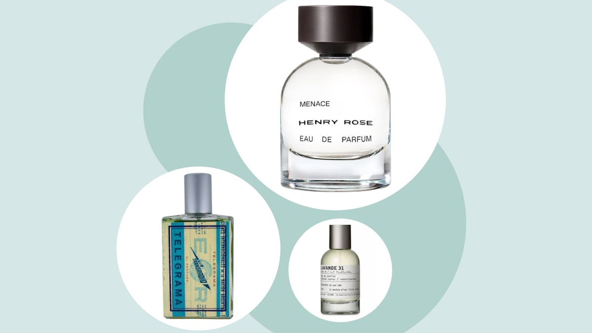 perfume fougère vs perfume chipre