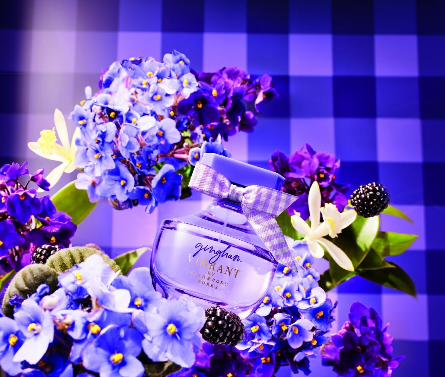 notas olfativas do perfume gingham