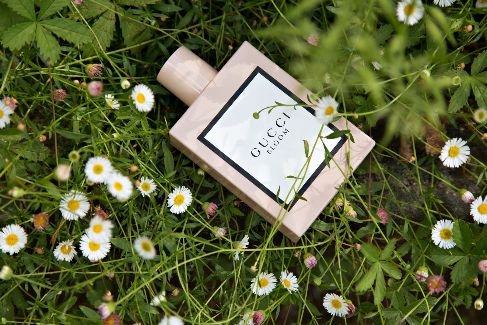 preço perfume gucci flora original