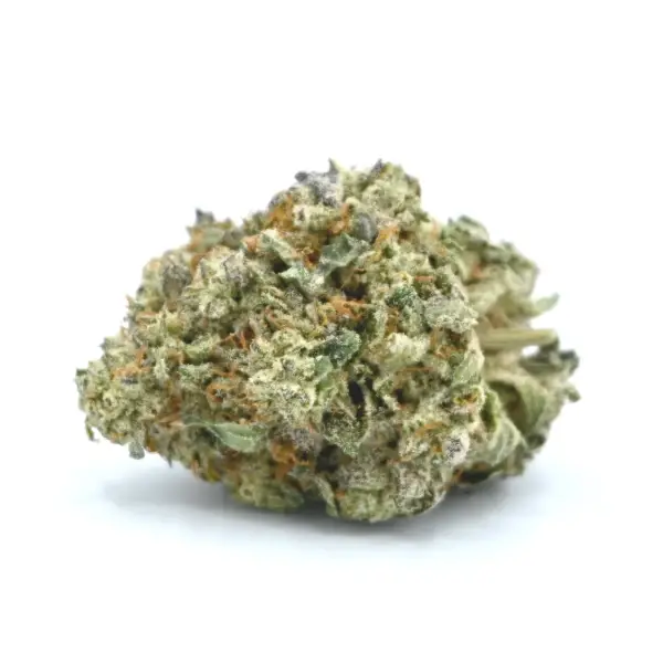 problemas comuns cultivo cannabis hindu kush