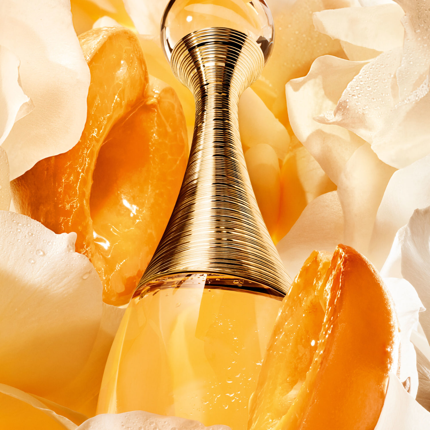 erros comuns ao usar perfume roll on j adore