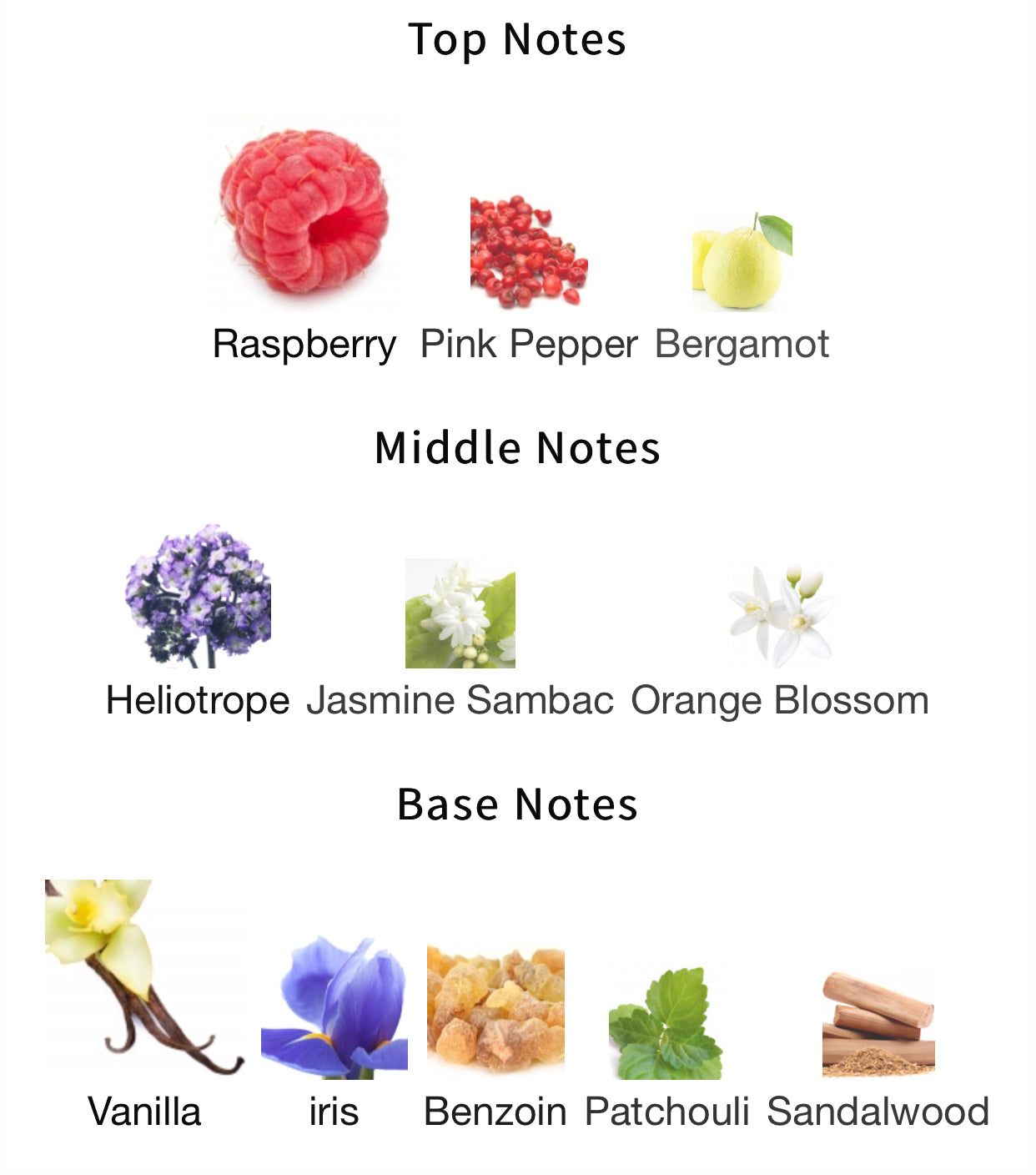 la vie est belle intensément inspiração para mulheres