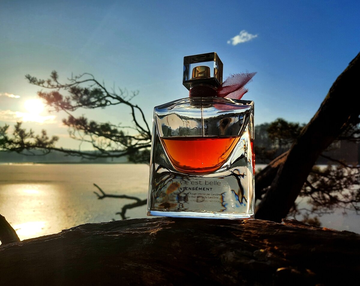 onde comprar la vie est belle intensément original