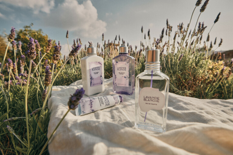 lavande l'occitane