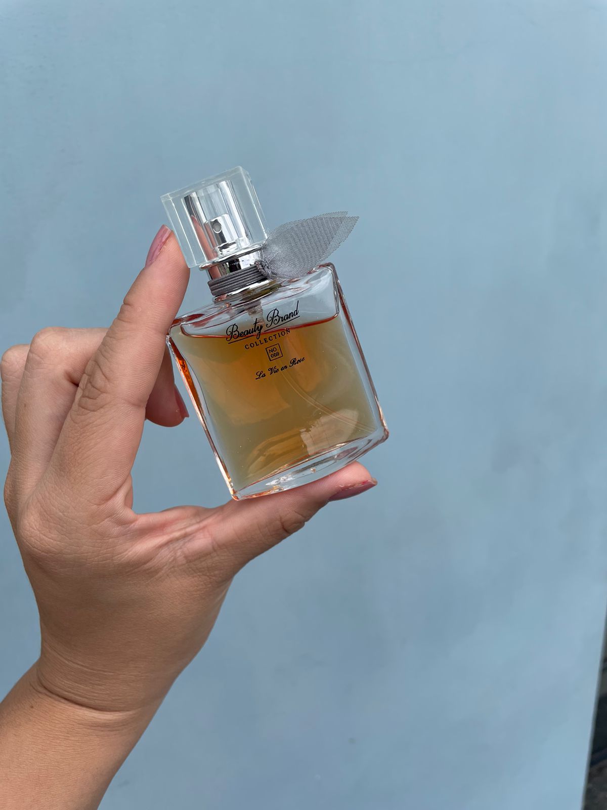 como usar a expressão la vie est belle em francês