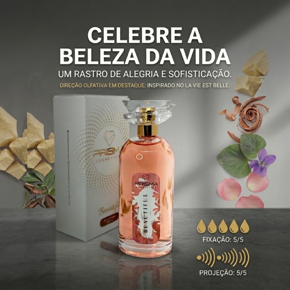 erros comuns ao traduzir la vie est belle