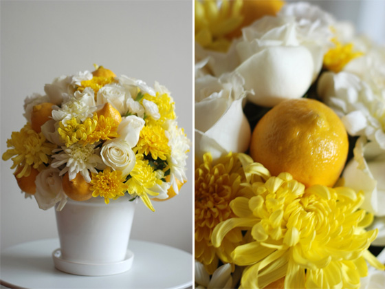 limão siciliano flor