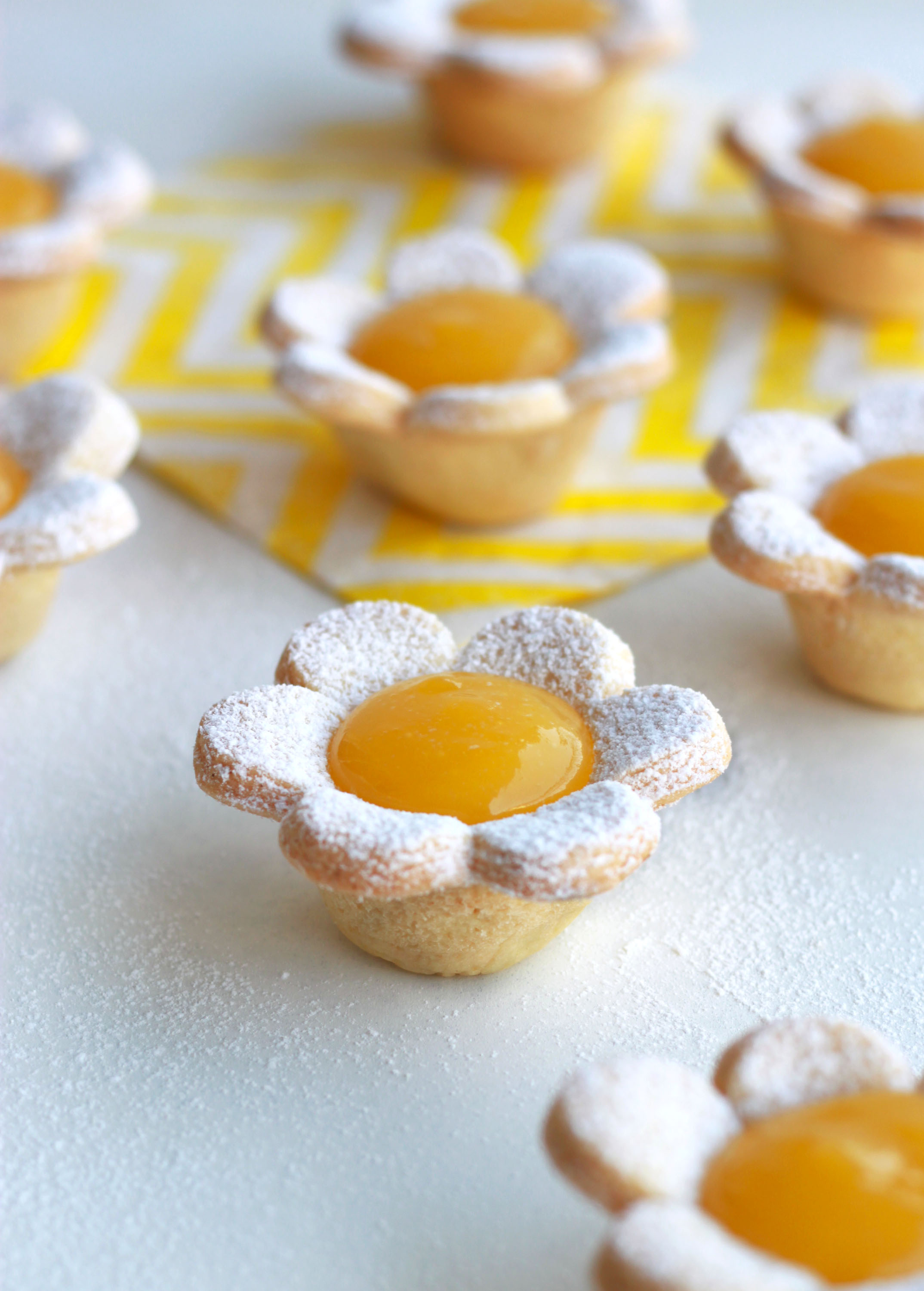 como estimular floração abundante limoeiro siciliano