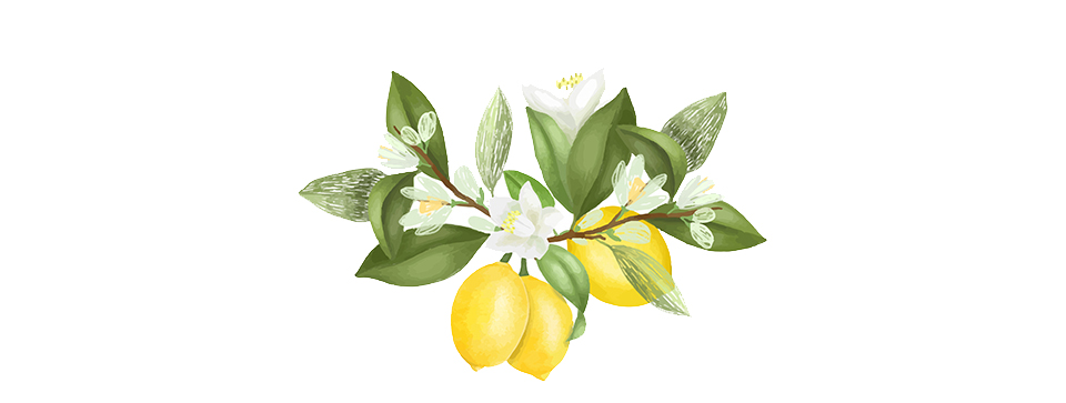 limão siciliano flor