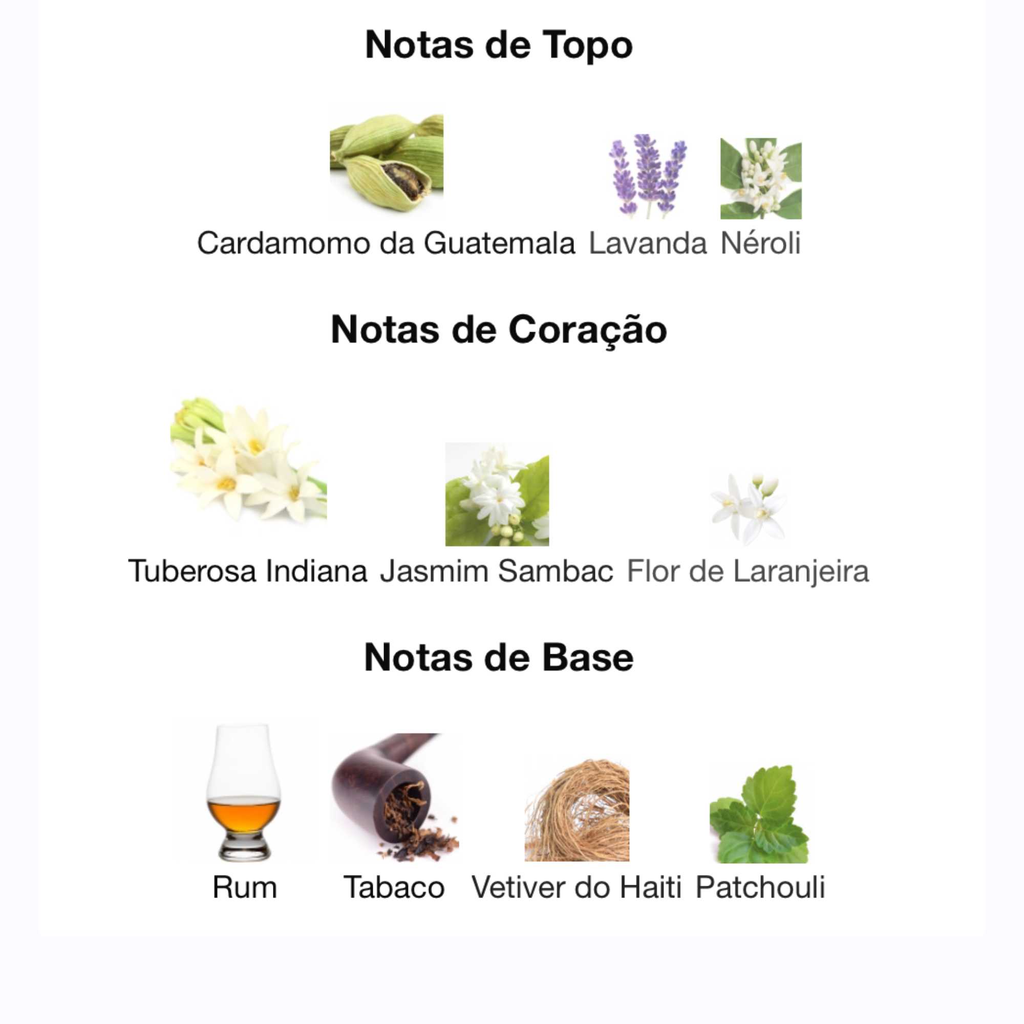 notas do perfume l'interdit