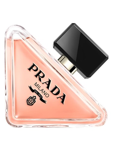 paradoxe prada