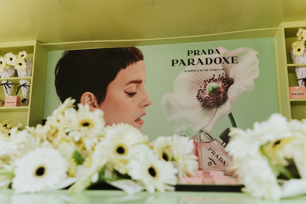 paradoxe prada