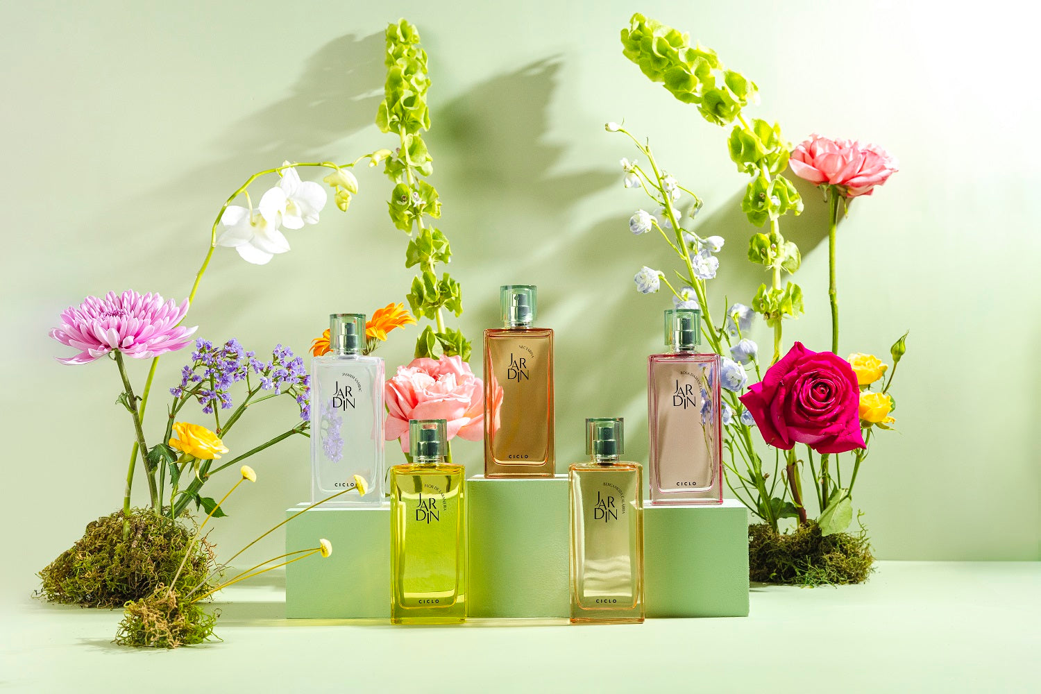 erros comuns ao escolher perfume ciclo