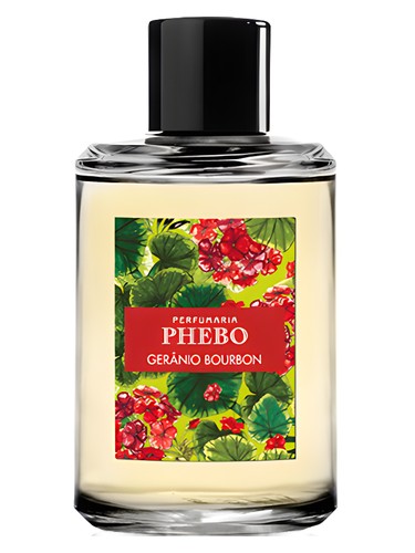 erros comuns ao usar colônia gerânio bourbon