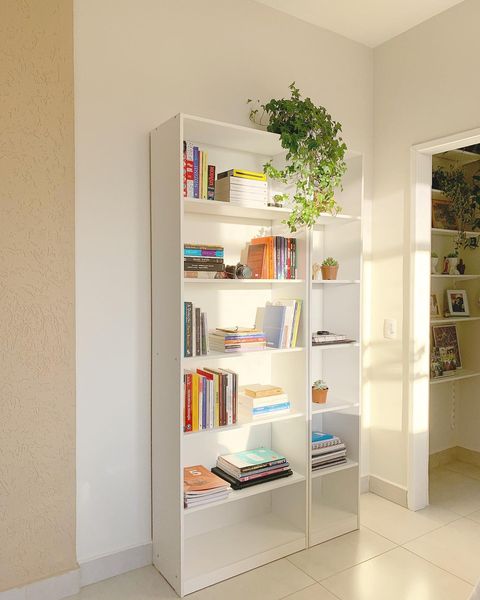 prateleira de livros infantil com tema de dinossauro