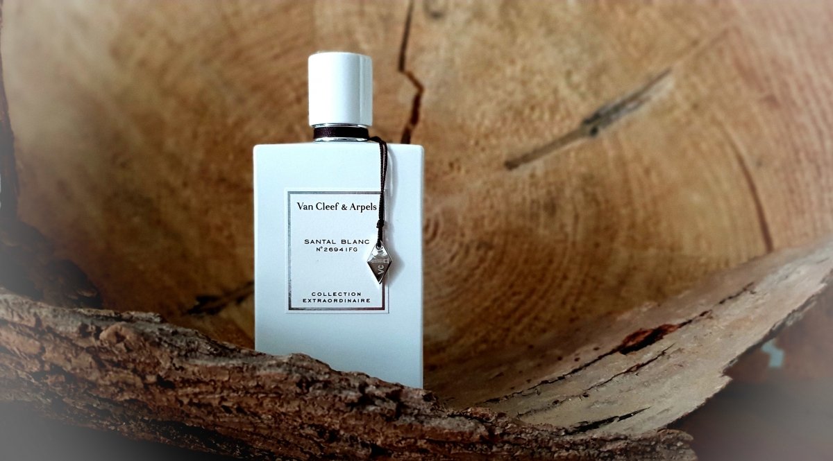 erros ao usar santal blanc