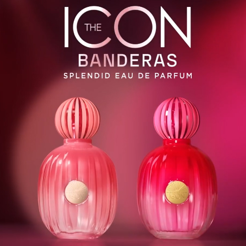 onde comprar the icon banderas feminino mais barato promoção