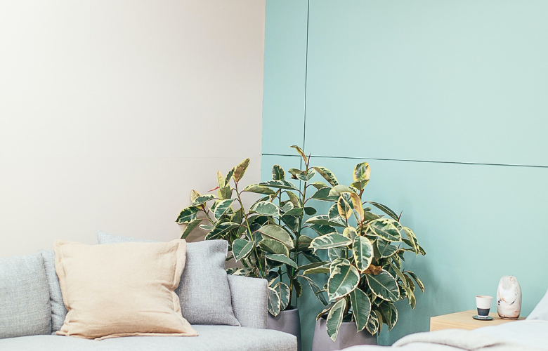 como misturar tinta verde água