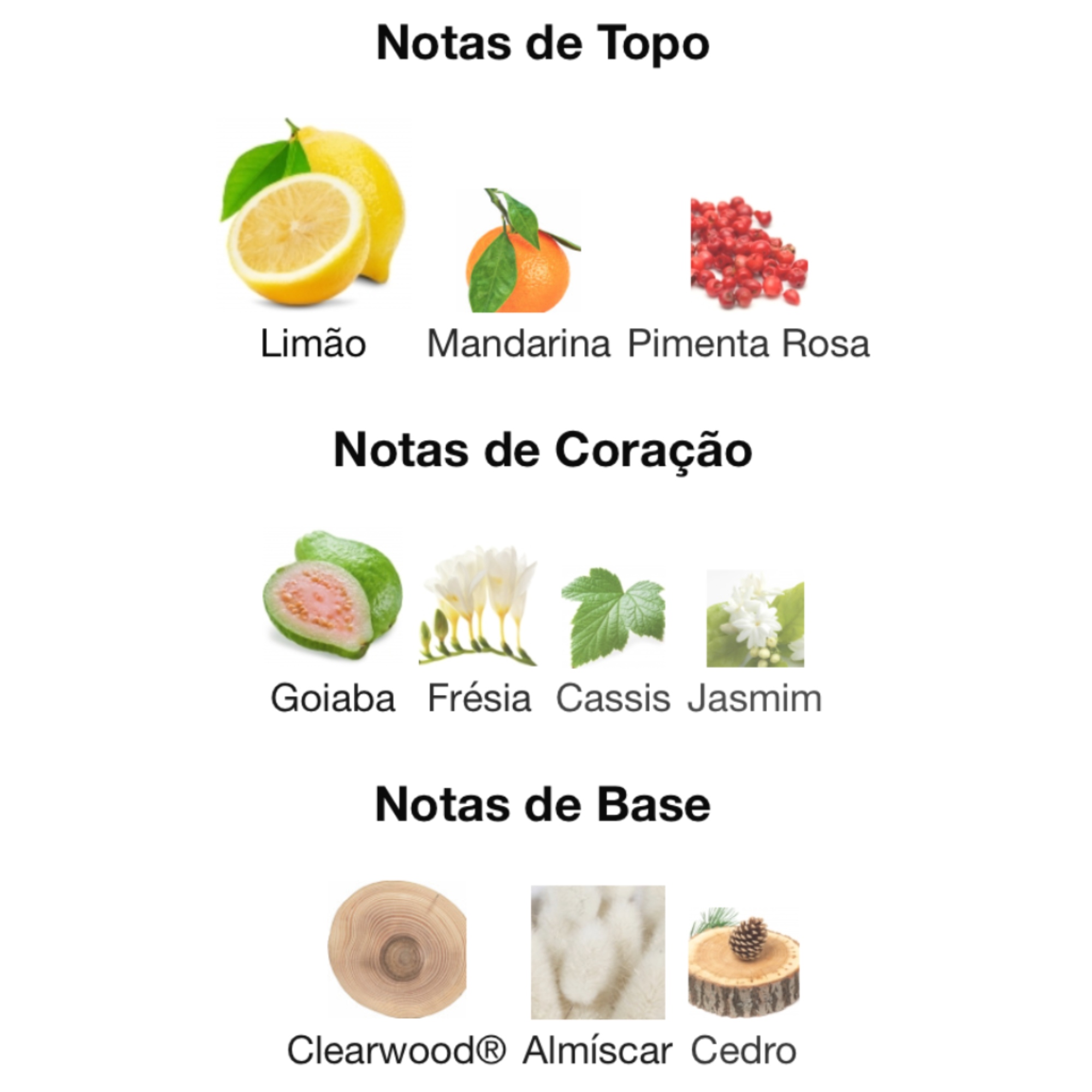 melhores perfumes versace dylan para o verão