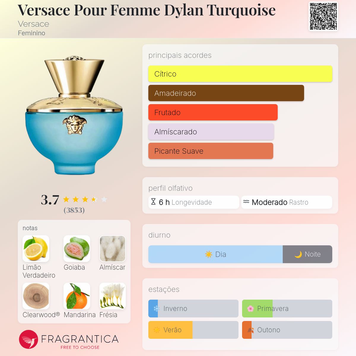 erros comuns ao escolher perfume versace dylan