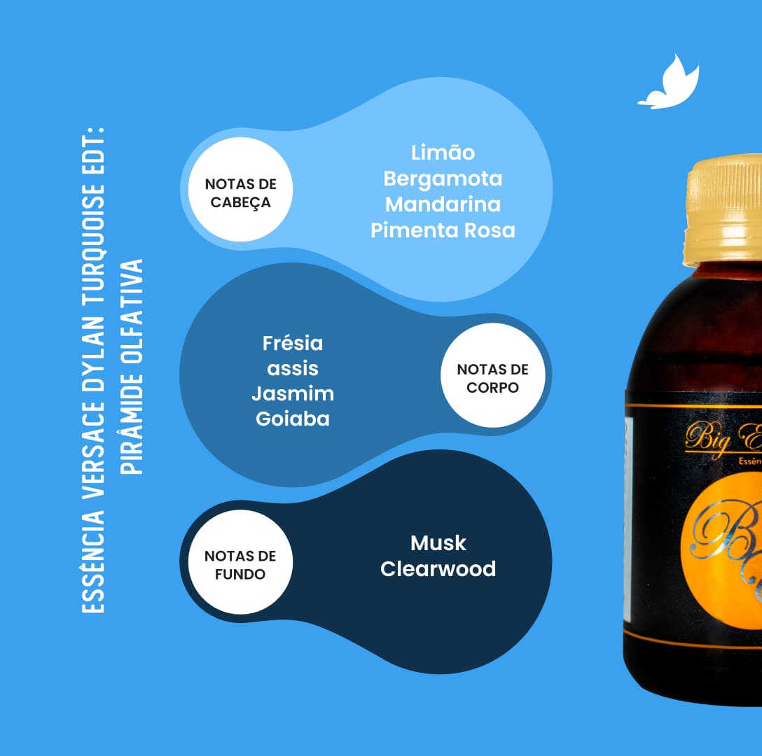 versace dylan turquoise vs versace dylan blue