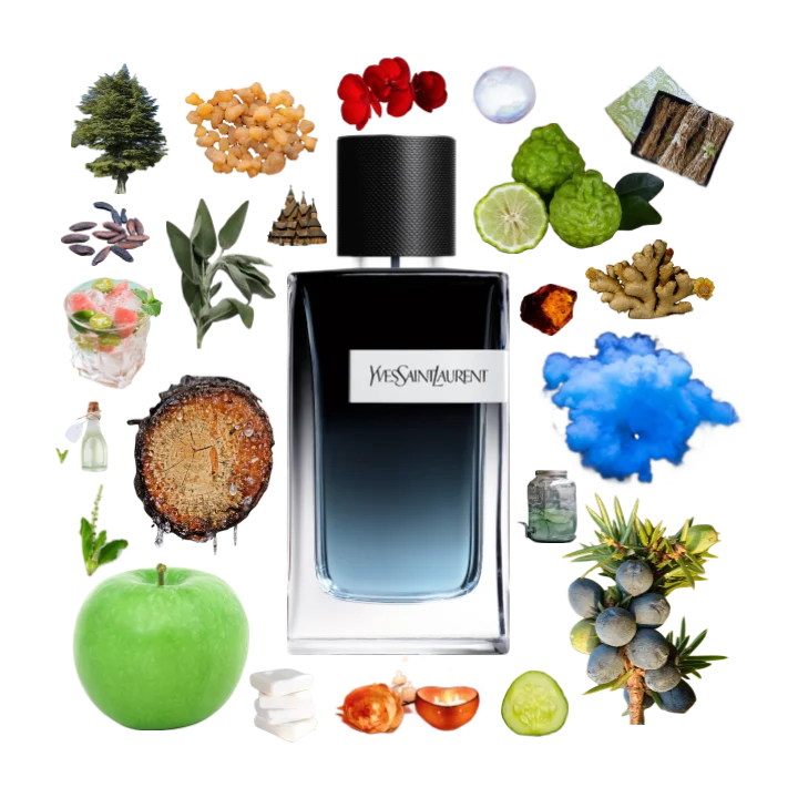 y yves saint laurent