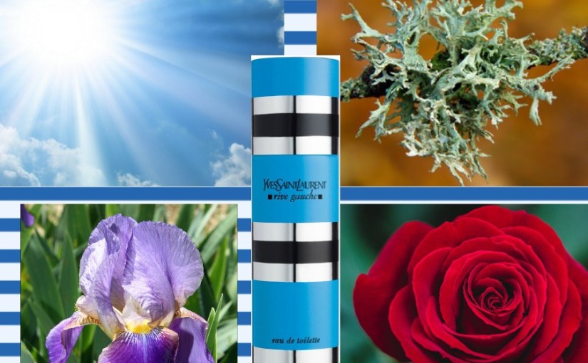 melhores perfumes ysl rive gauche para colecionar