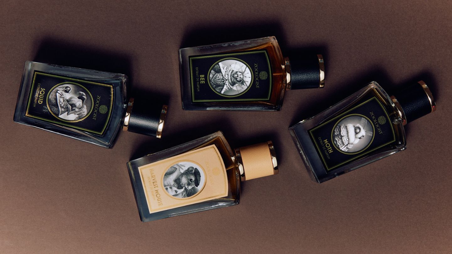 erros comuns ao comprar perfumes zoologist